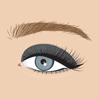 haliejostillustration beauty blink brows eyebrow GIF