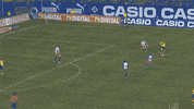 bundesliga kringe GIF by Borussia Dortmund