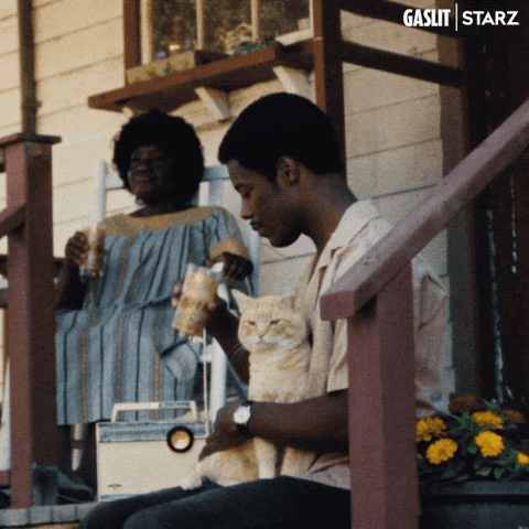 Home Starz GIF by Gaslit