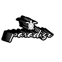 Paradise Beach Club Sticker by discotecheinversilia