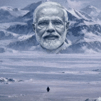 Rahul Gandhi Penguin GIF