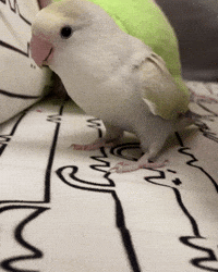 Punch Rush GIF