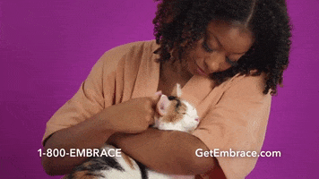 Cats Cuddle GIF by Embrace Pet Insurance