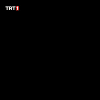 History Reaction GIF by TRT