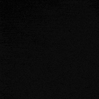 JujuLecouffe cat stars night eyes GIF