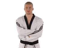 Taekwondo Smile Sticker by Team Slovenia