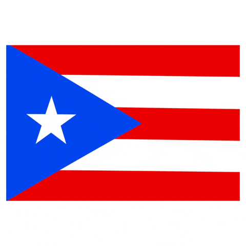 Puerto Rico Flag GIF by Latinoji