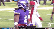 Minnesota Vikings Football GIF by NFL