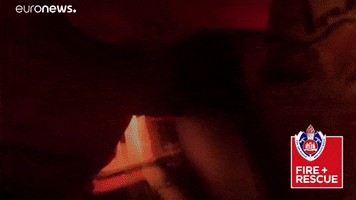 Forest Fire GIF by euronews