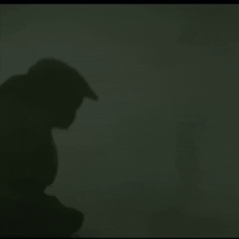 Tv Show Halo GIF by Respective