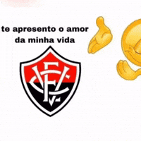 Ecvitoria GIF
