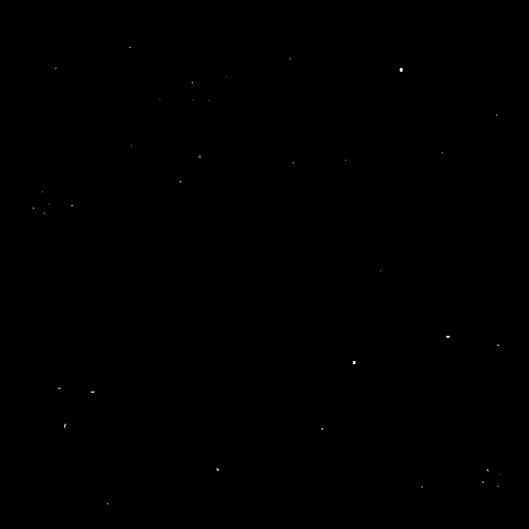 space dogs GIF by Darruda