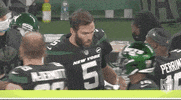 Regular Season Football GIF by NFL