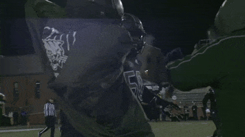 Ncaa Football GIF by Ohio Bobcats