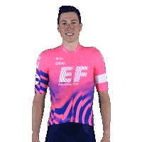 Two Thumbs Up Win Sticker by EF Education First