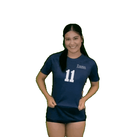 Womens Volleyball Sticker by Clarke University