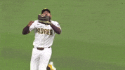 San Diego Padres Sport GIF by MLB