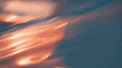 Flowers Fisheye GIF by Zedd