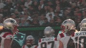 Football Sport GIF by New England Patriots