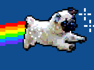 Pug Nyan Cat GIF