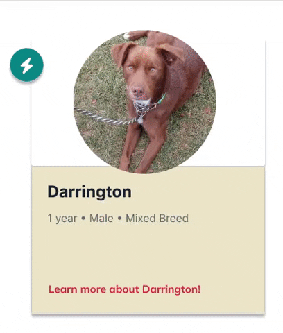 tayloroen7 giphygifmaker GIF