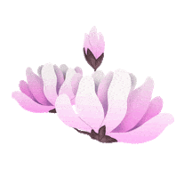 Pink Spring Sticker by Lara Paulussen