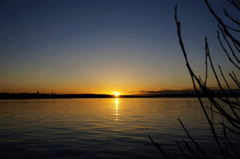 aaronroche giphygifmaker GIF