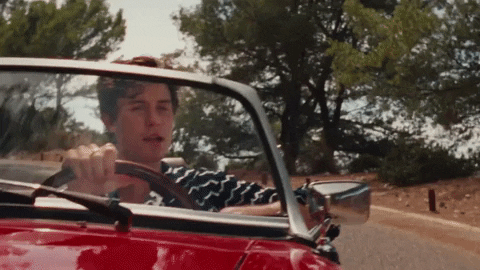 Summer Of Love GIF by Shawn Mendes