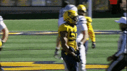 College Football GIF by WVU Sports