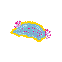 peachbabystudio peachbaby nudibranch sea slug sea animal Sticker