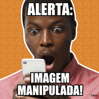 _agencialupa_ fakenews agencialupa boatos GIF