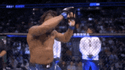 Sport Mma GIF by UFC