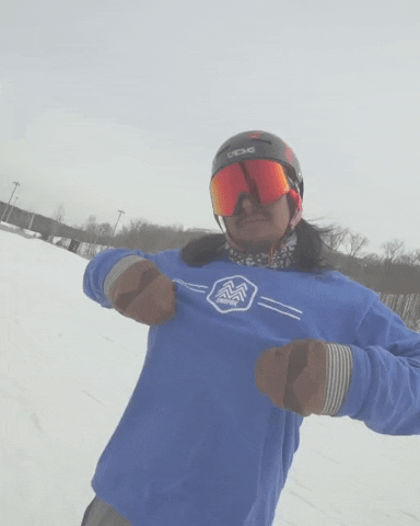 lesSommets giphygifmaker snow ski brown GIF