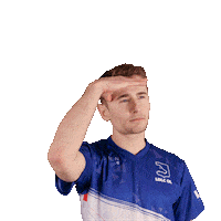 Searching Sticker by LDLC OL