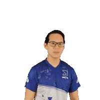 Fail Sticker by LDLC OL