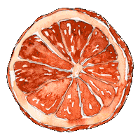 goodobjects christmas orange fruit goodobjects Sticker