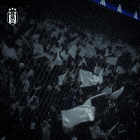 Bjk GIF by Besiktas JK