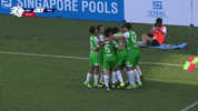 Celebrate Group Hug GIF by 1 Play Sports
