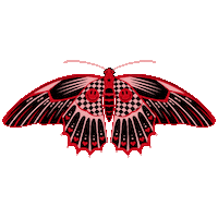 Heart Pink Sticker by Amadelle