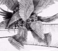 Phoenix745  GIF