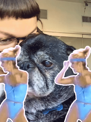 nyframe GIF by GIPHY Frame