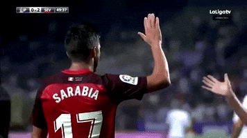 la liga soccer GIF by Sevilla Fútbol Club