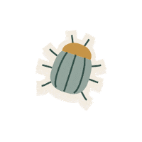 satelittle_trendstudio illustration bug insect disappear Sticker