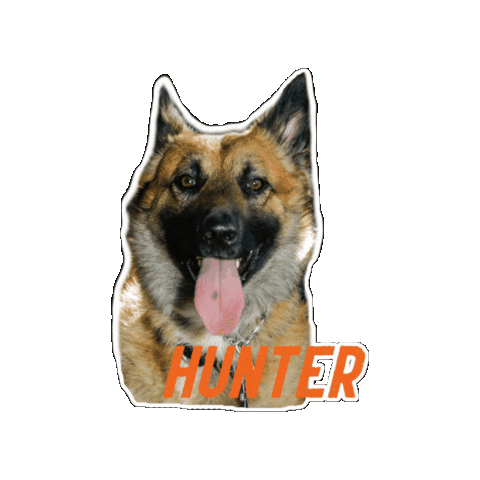 Bekindtoallkinds Sticker by Karen Toyoshima