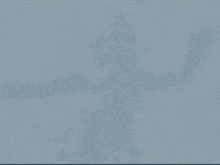 Footage Oaf GIF by jorgemariozuleta