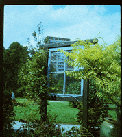 window garden GIF by Christina Lu