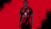Happy Football GIF by AFC Bournemouth