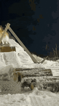 Merry Christmas Cat GIF