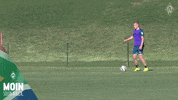trainingslager GIF by SV Werder Bremen
