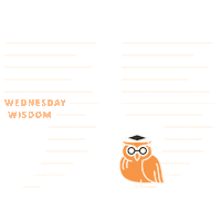 Barkow_Consulting thinking owl wednesday wisdom Sticker